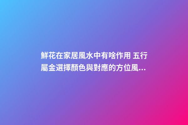 鮮花在家居風水中有啥作用 五行屬金選擇顏色與對應的方位風水有